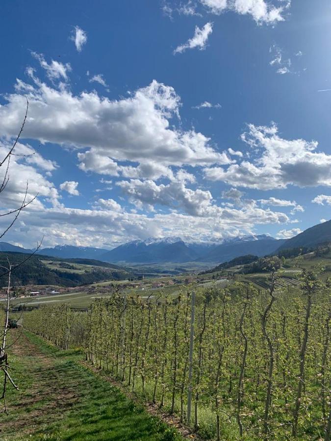 Agritur Maso Forcola Villa Brez ภายนอก รูปภาพ