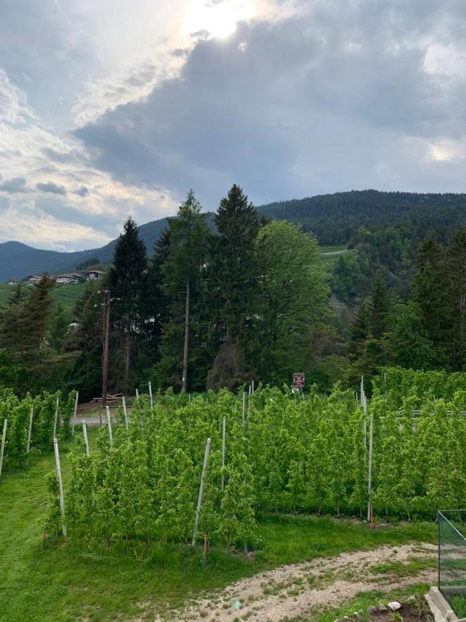 Agritur Maso Forcola Villa Brez ภายนอก รูปภาพ