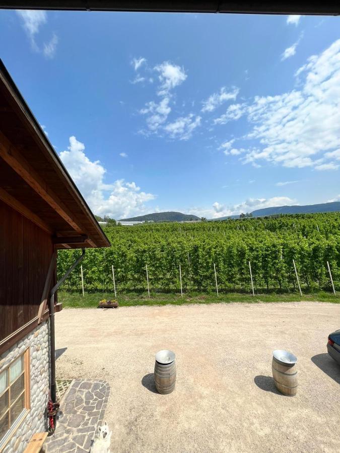 Agritur Maso Forcola Villa Brez ภายนอก รูปภาพ