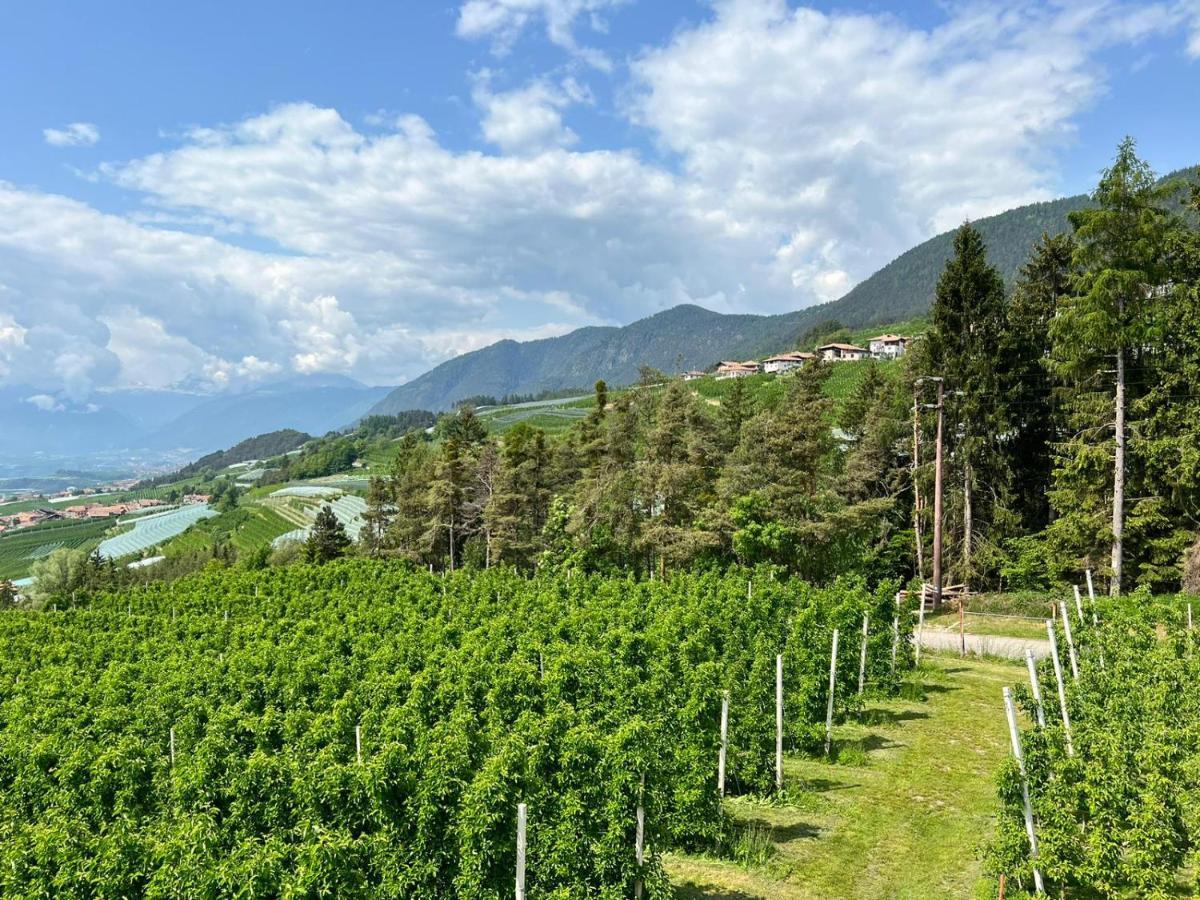 Agritur Maso Forcola Villa Brez ภายนอก รูปภาพ