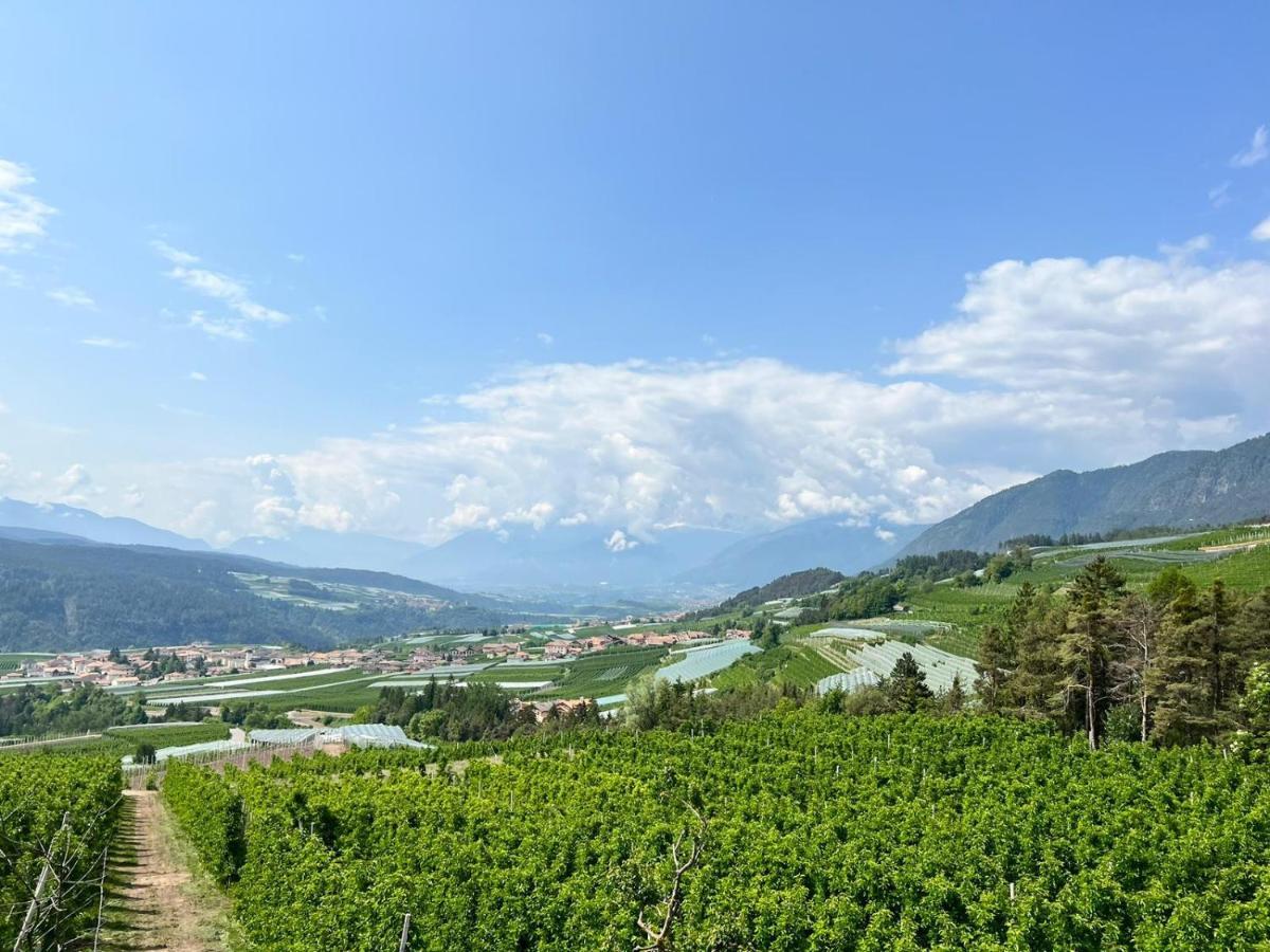 Agritur Maso Forcola Villa Brez ภายนอก รูปภาพ
