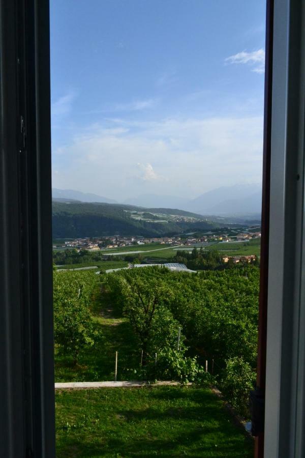Agritur Maso Forcola Villa Brez ภายนอก รูปภาพ